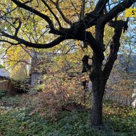 Foto inzerátu Prodej