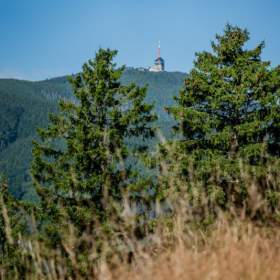 Foto inzerátu Prodej, Rodinný dům, 150 m2