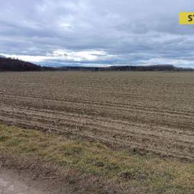 Prodej, Pozemky zemědělské a lesní, 1399 m2 / 19349123
