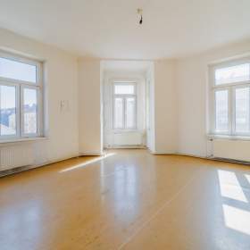 Prodej, byt 4+1, 418 m2 / 19406063