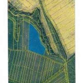 Prodej, Pozemky zemědělské a lesní, 14861 m2 / 19409731
