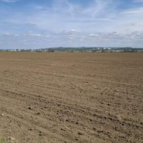 Prodej, Pozemky zemědělské a lesní, 3547 m2 / 19426570