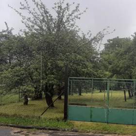 Prodej, Pozemky pro bydlení, 872 m2 / 19469216