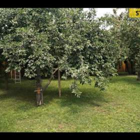 Foto inzerátu Prodej, Rodinný dům, 550 m2