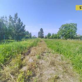 Prodej, Zahrady, 1242 m2 / 19497073