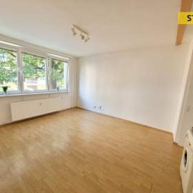 Pronájem, byt 1+kk, 30 m2 / 19502673