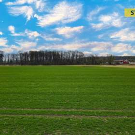 Prodej, Pozemky zemědělské a lesní, 6038 m2 / 19505478