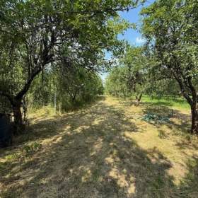 Prodej, Zahrady, 3628 m2 / 19506669