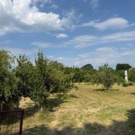 Foto inzerátu Prodej, Zahrady, 3628 m2