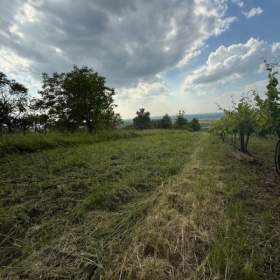 Foto inzerátu Prodej, Zahrady, 3628 m2