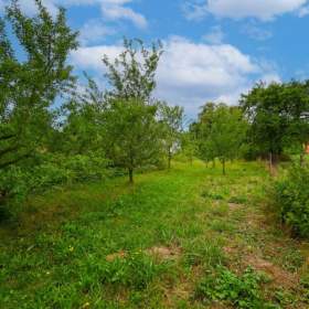 Foto inzerátu Prodej