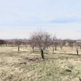 Foto inzerátu Prodej