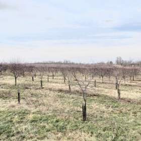 Foto inzerátu Prodej