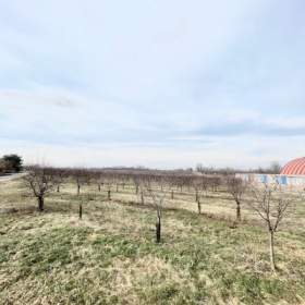 Foto inzerátu Prodej