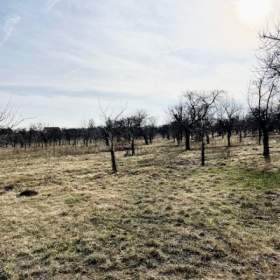 Foto inzerátu Prodej