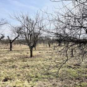 Foto inzerátu Prodej