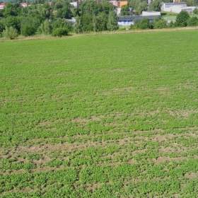 Prodej, Pozemky pro bydlení, 2994 m2 / 19529419