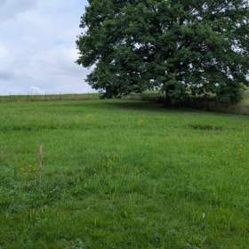 Foto inzerátu Prodej, Pozemky pro bydlení, 1663 m2