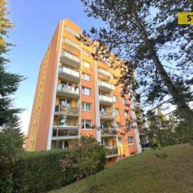 Prodej, byt 1+1, 42 m2 / 19547270
