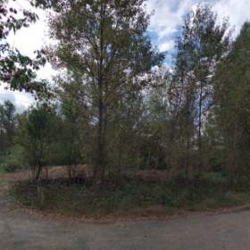 Prodej, Zahrady, 958 m2 / 19551429