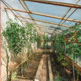 Foto inzerátu Prodej, chata, 18 m2