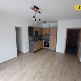 Pronájem, byt 1+kk, 40 m2 / 19569855