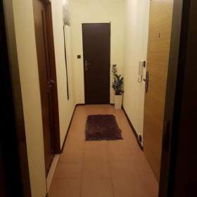Prodej, byt 2+1, 50 m2 / 19579994