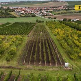 Fotka k inzerátu Prodej / 18766836