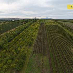 Foto inzerátu Prodej