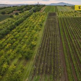 Foto inzerátu Prodej