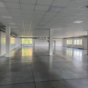 Foto inzerátu Pronájem, prodejny, 1475 m2