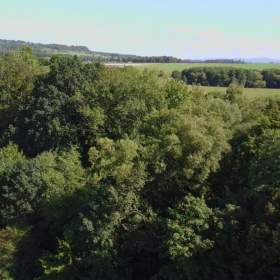 Prodej, Pozemky zemědělské a lesní, 9789 m2 / 19591131