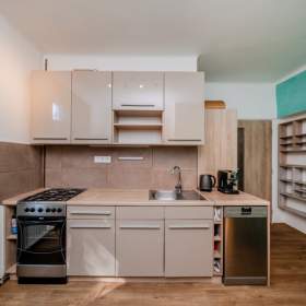 Prodej, byt 1+1, 50 m2 / 19596375