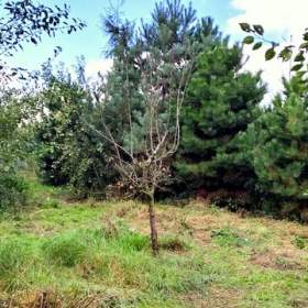 Foto inzerátu Prodej, Rodinný dům, 150 m2