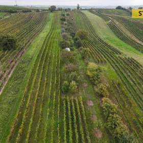 Fotka k inzerátu Prodej / 19380233