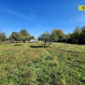 Fotka k inzerátu Prodej, Zahrady, 1774 m2 / 19337819