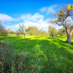 Prodej, Zahrady, 2697 m2 / 19615393