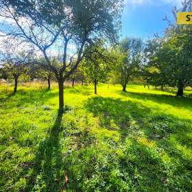 Foto inzerátu Prodej, Zahrady, 2697 m2