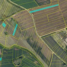 Prodej, Pozemky zemědělské a lesní, 8918 m2 / 19620192