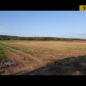 Foto inzerátu Prodej, Pozemky zemědělské a lesní, 13377 m2