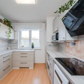 Foto inzerátu Prodej, byt 3+1, 73 m2