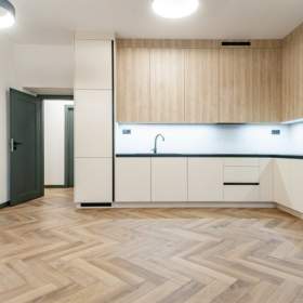 Foto inzerátu Pronájem, byt 3+kk, 66 m2