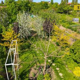Foto inzerátu Pronájem, Rodinný dům, 204 m2