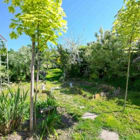 Foto inzerátu Pronájem, Rodinný dům, 204 m2