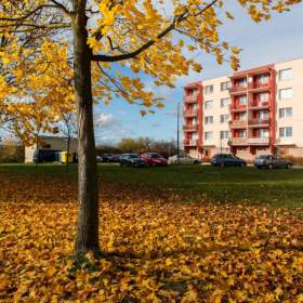 Prodej, byt 3+1, 65 m2 / 19631692