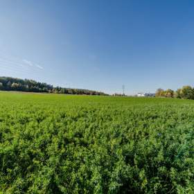 Foto inzerátu Prodej, Pozemky pro bydlení, 4000 m2