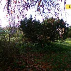 Foto inzerátu Prodej, Zahrady, 354 m2