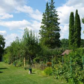 Foto inzerátu Prodej, Zahrady, 354 m2