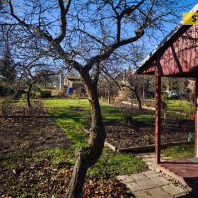 Prodej, Zahrady, 299 m2 / 19635738