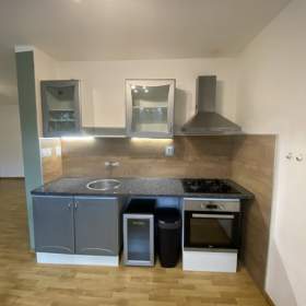 Pronájem, byt 1+kk, 45 m2 / 19643025